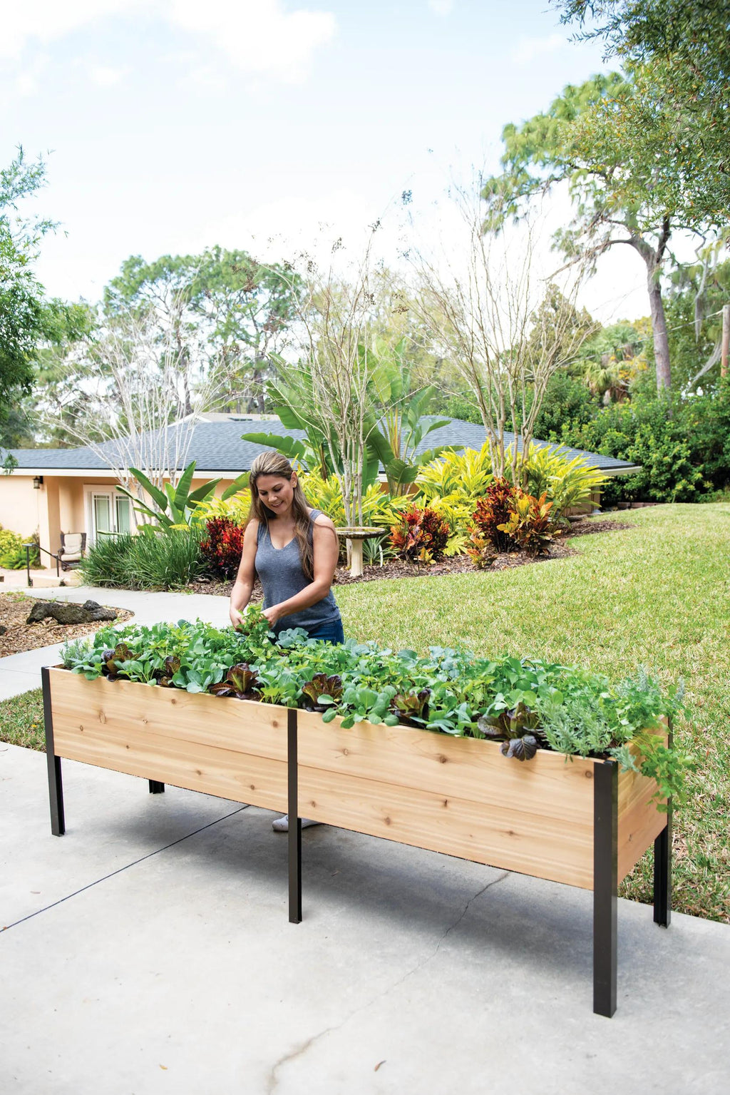 Self-Watering Elevated Cedar Planter Box, 2 x 8