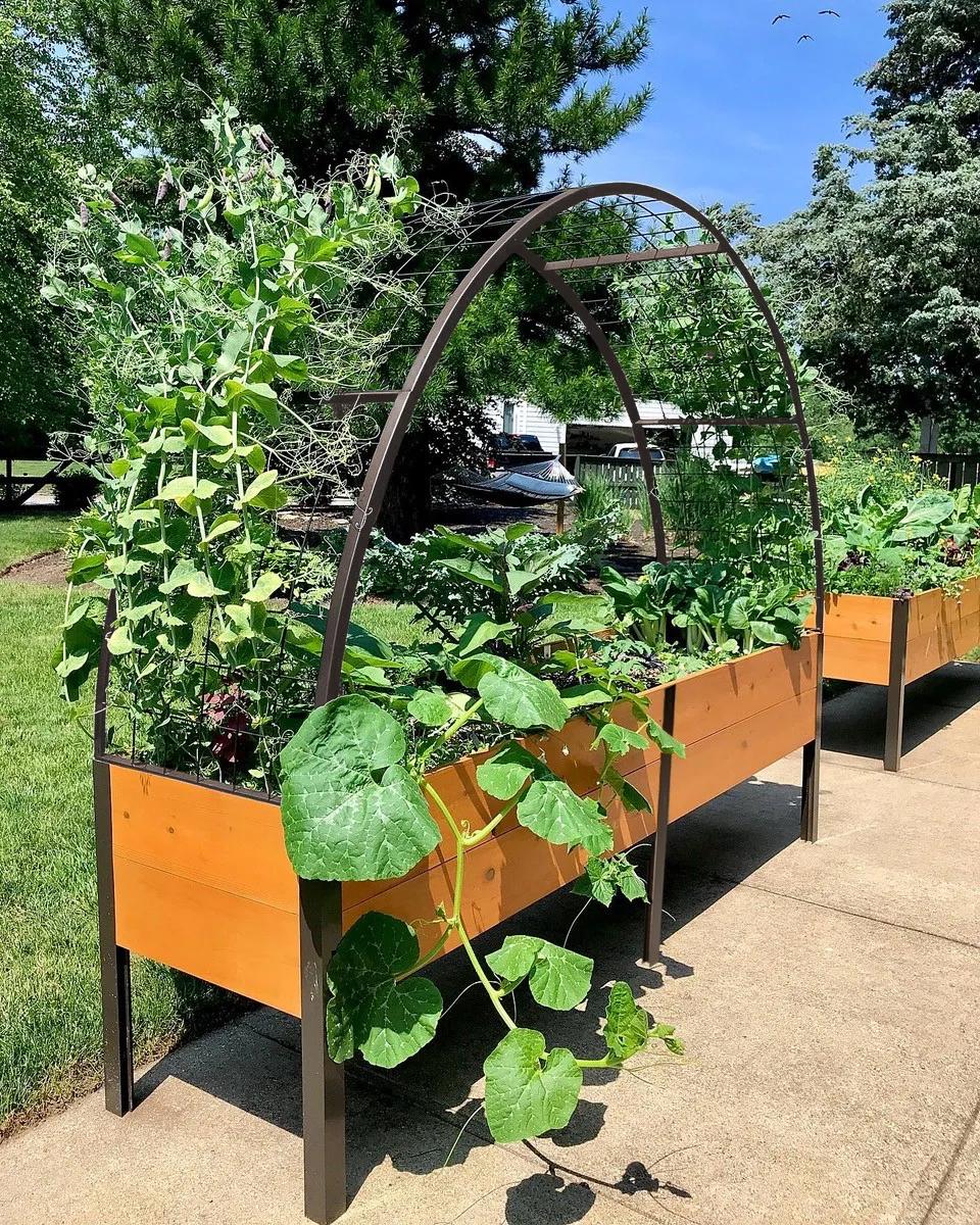 2' x 8' Arch Trellis for Planter Boxes