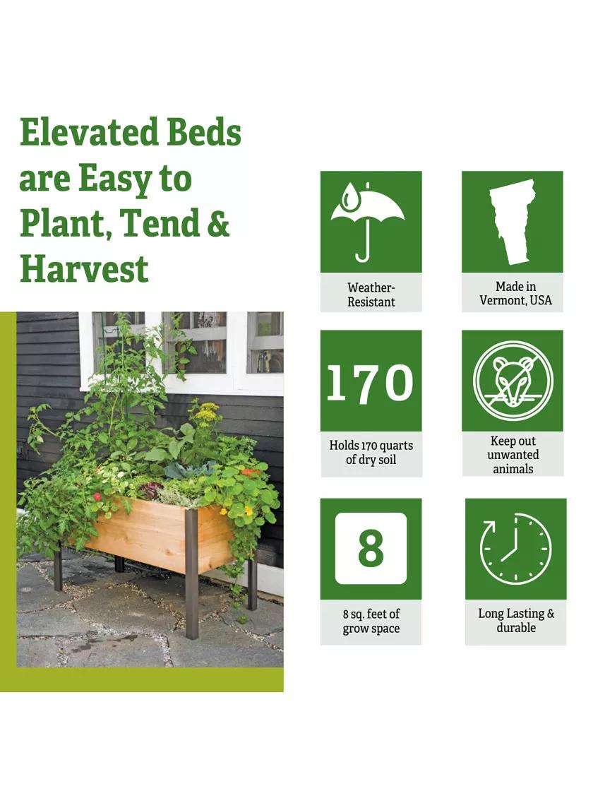 Self-Watering Elevated Cedar Planter Box, 2' x 4'