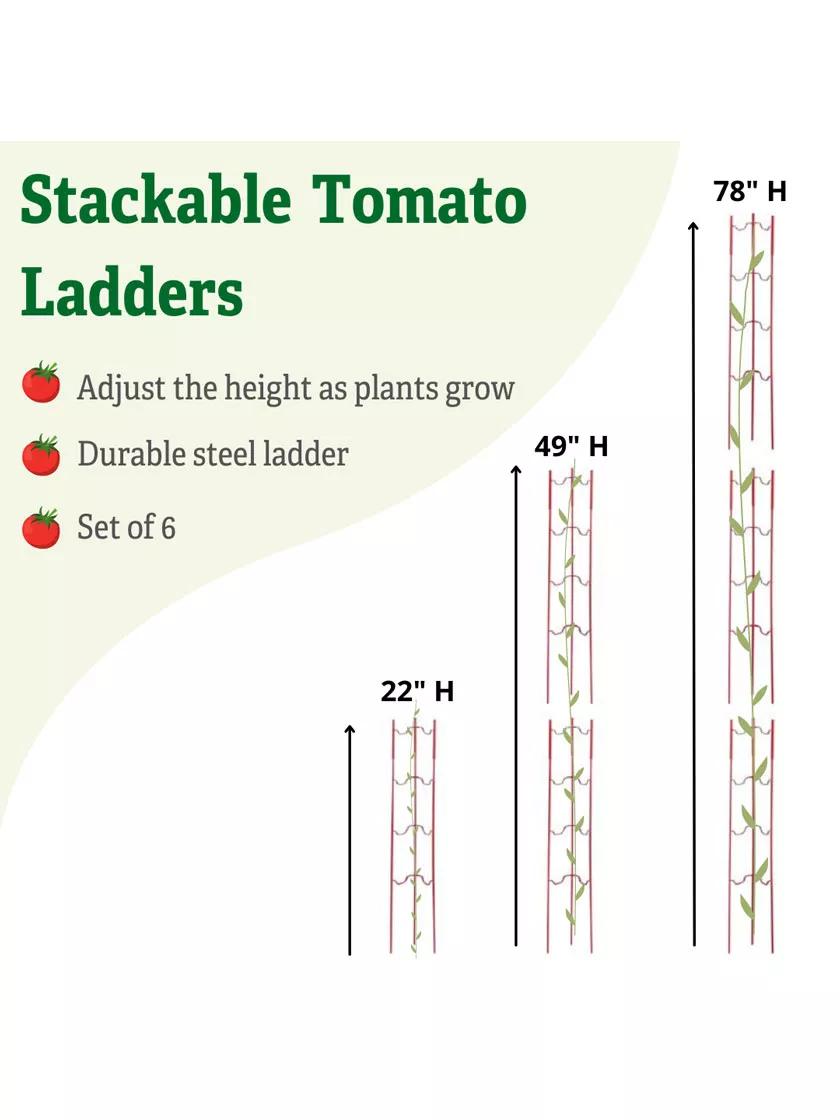 Stacking Tomato Ladders, Set of 6