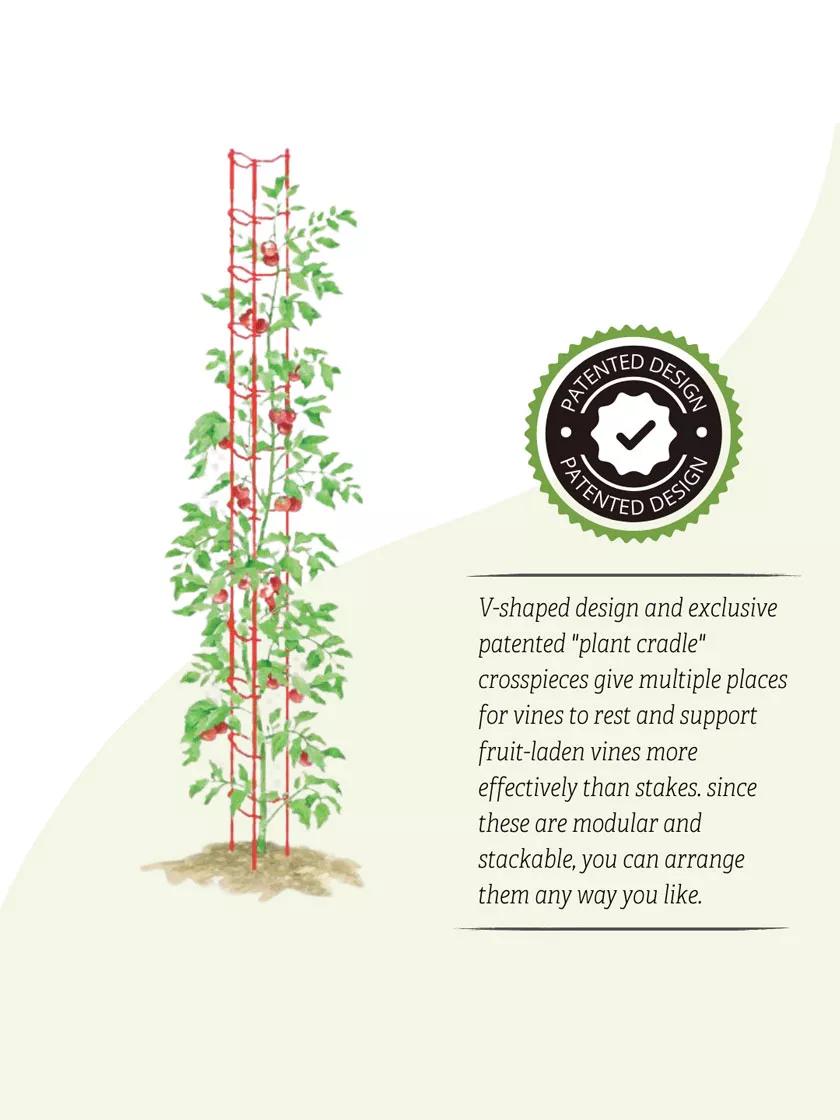 Stacking Tomato Ladders, Set of 6