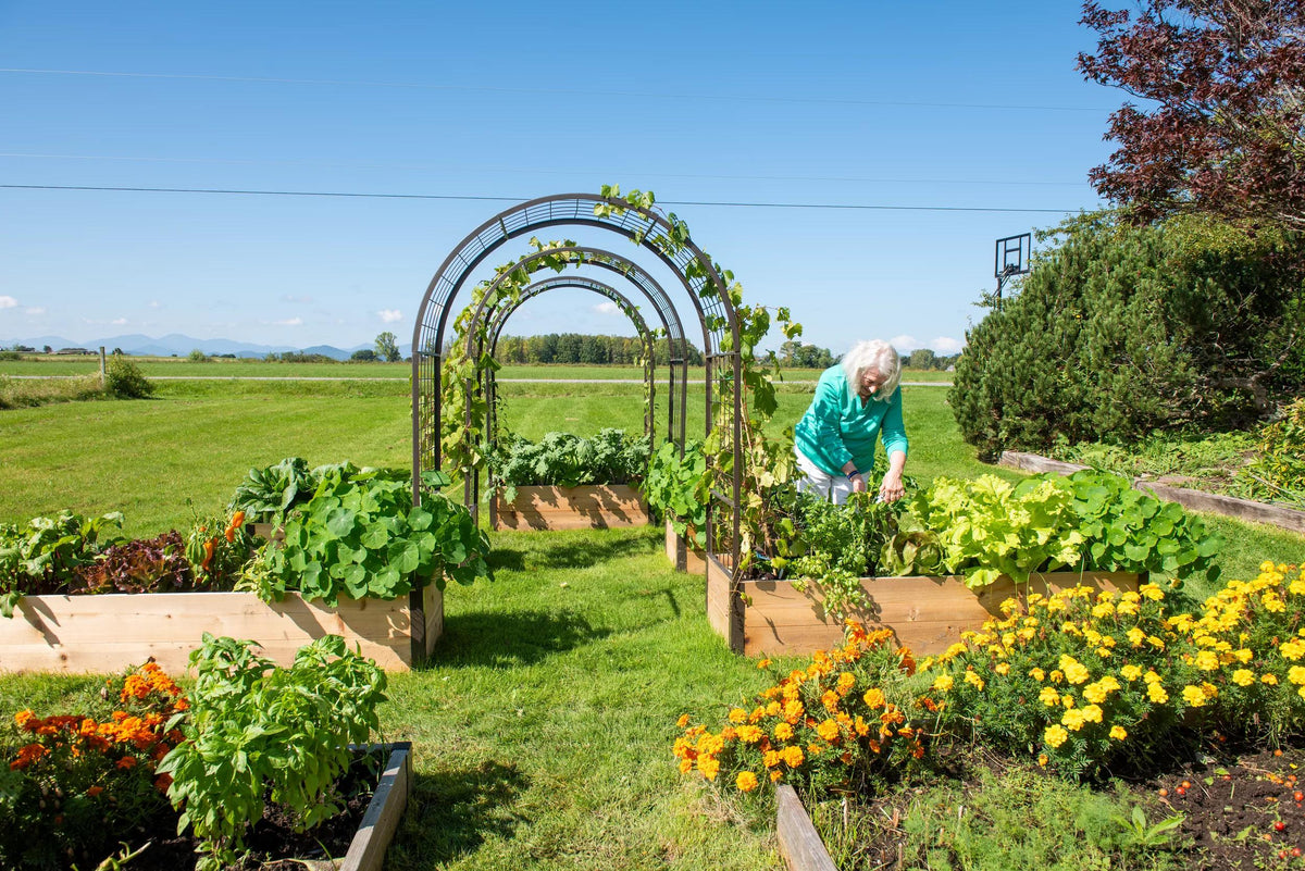 12" Arch Extensions, Set of 2