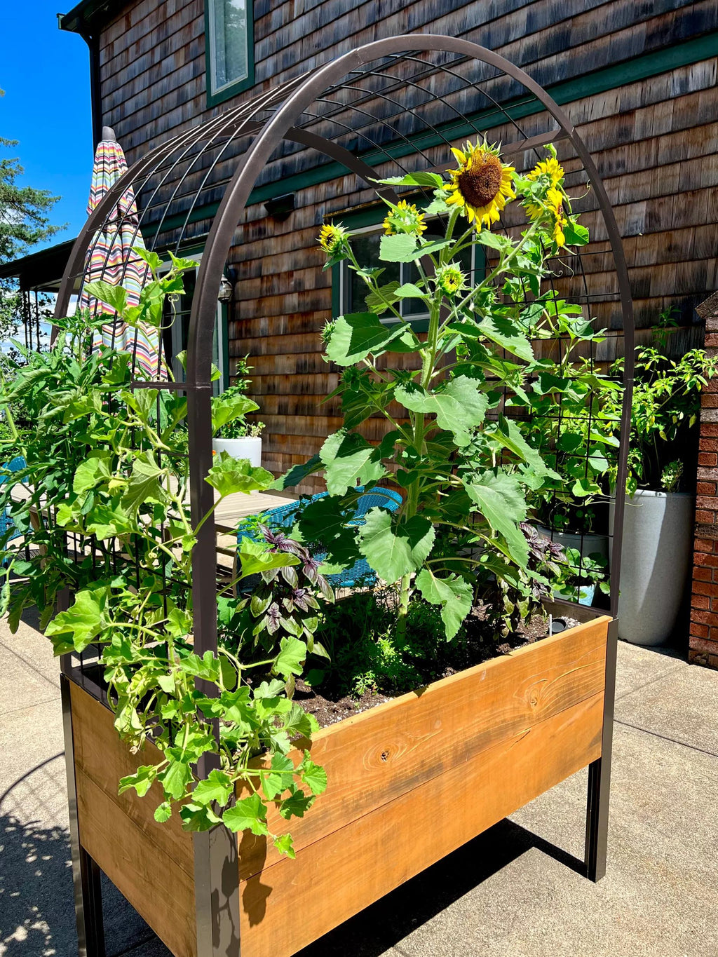 Elevated Cedar Planter Box, 2' x 4'