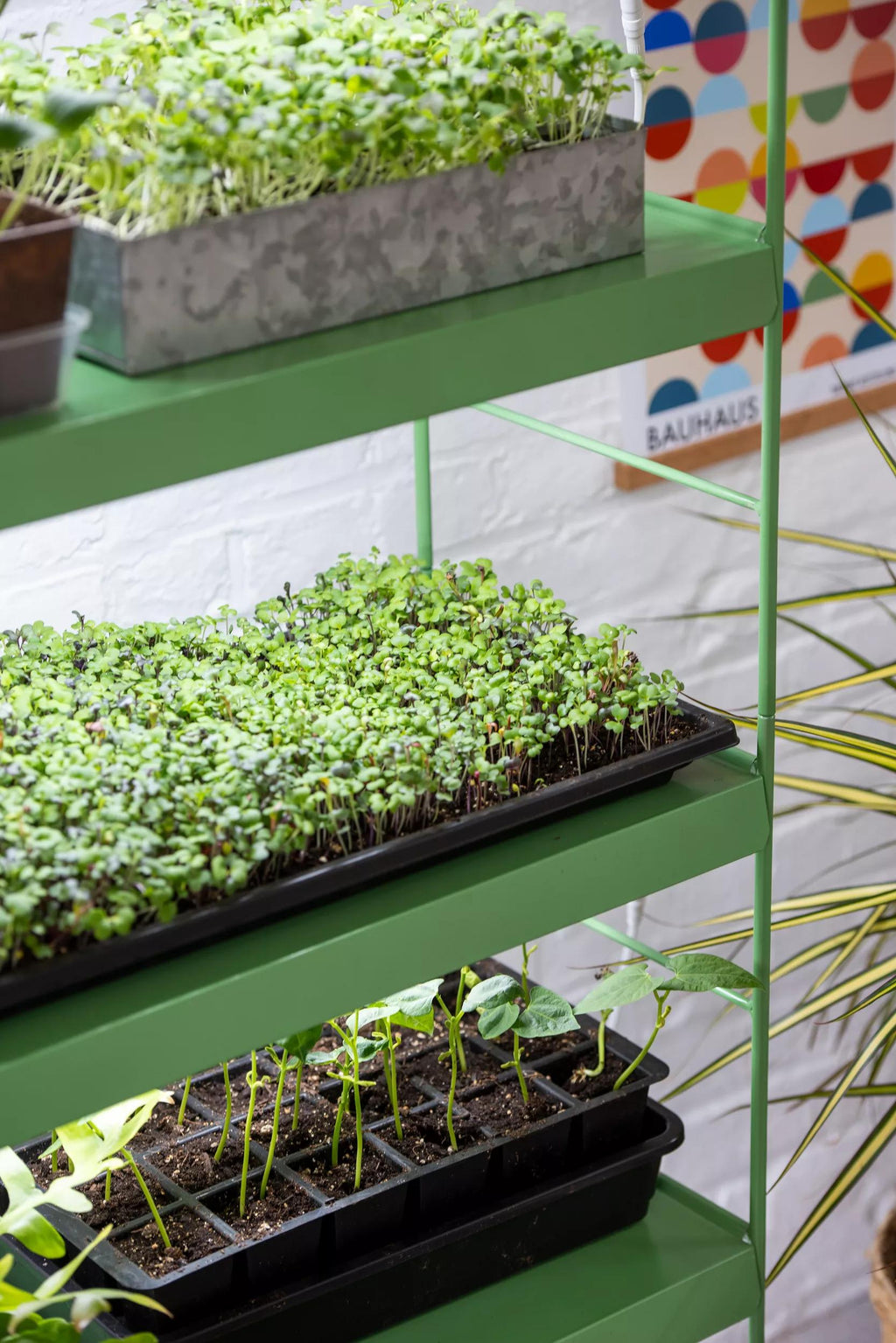 Agie™ LED Light Garden