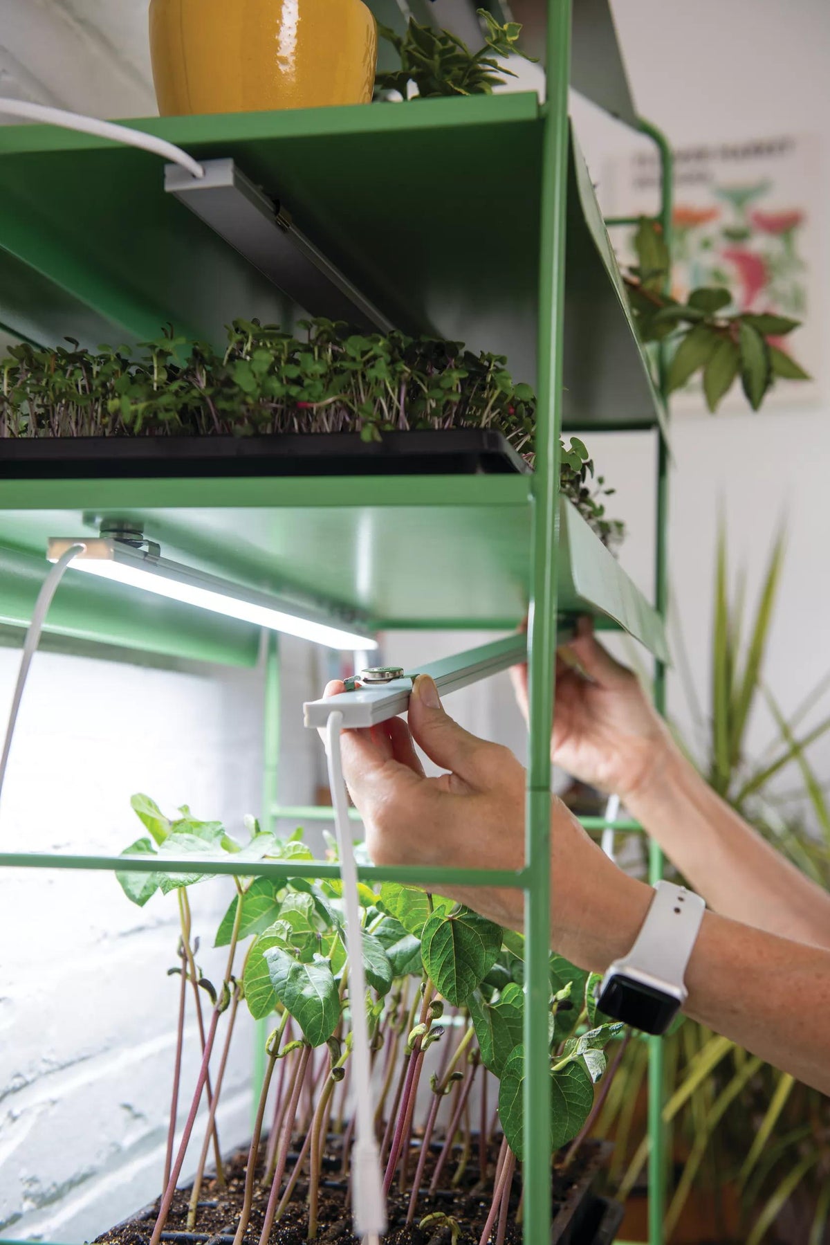 Agie™ LED Light Garden