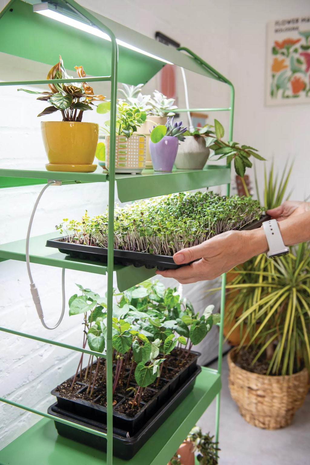 Agie™ LED Light Garden