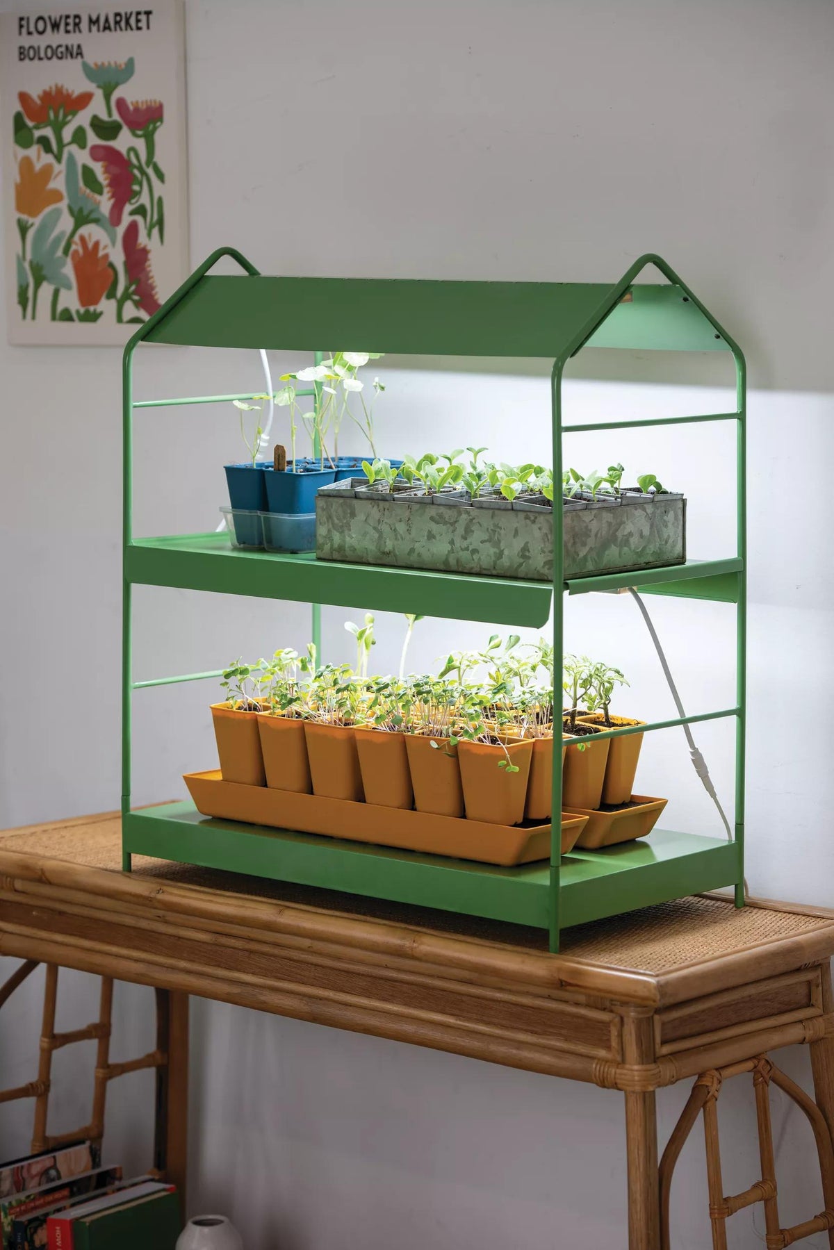 Agie™ Tabletop LED Light Garden