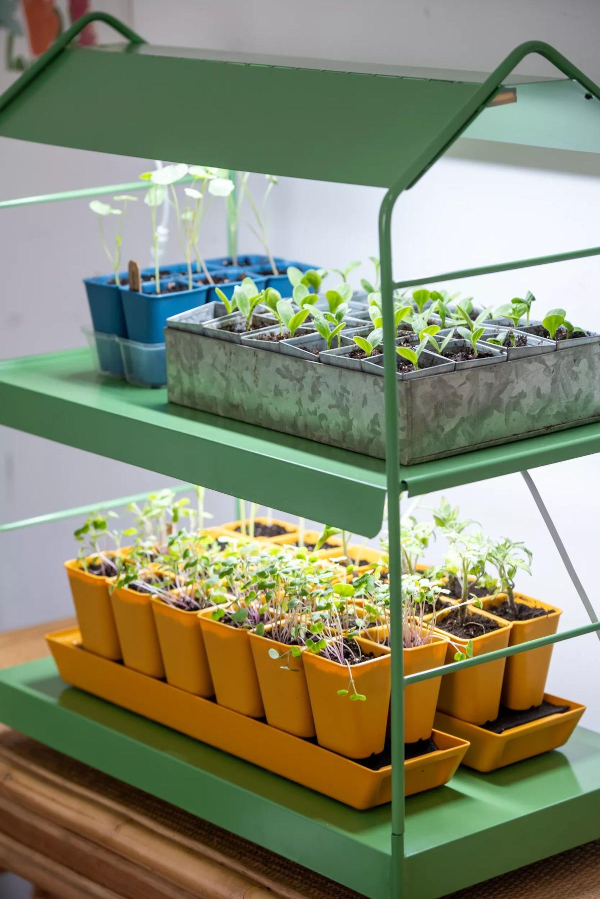 Agie™ Tabletop LED Light Garden