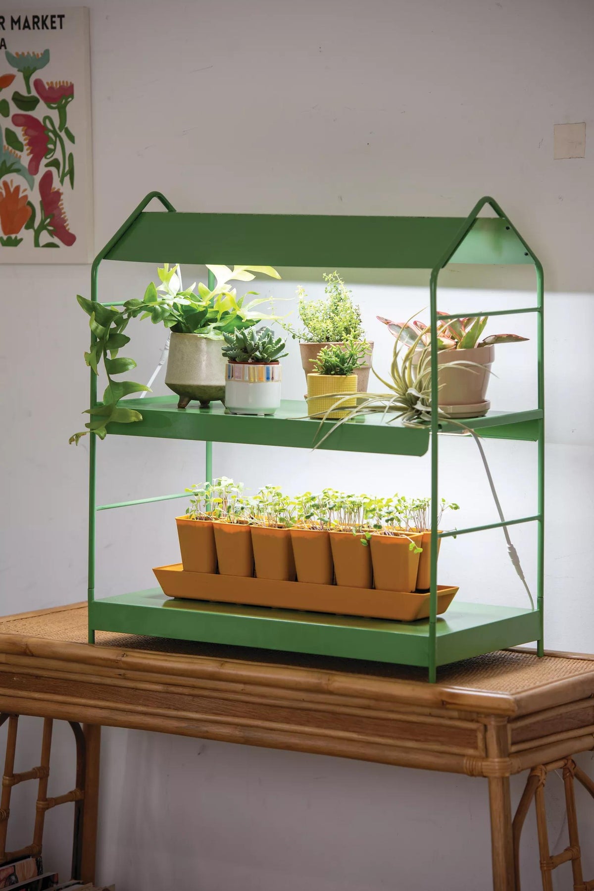 Agie™ Tabletop LED Light Garden