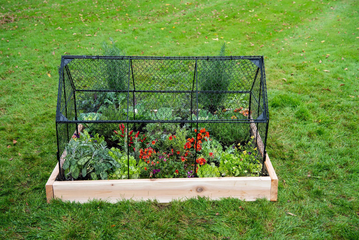 Chicken Wire Crop Coop