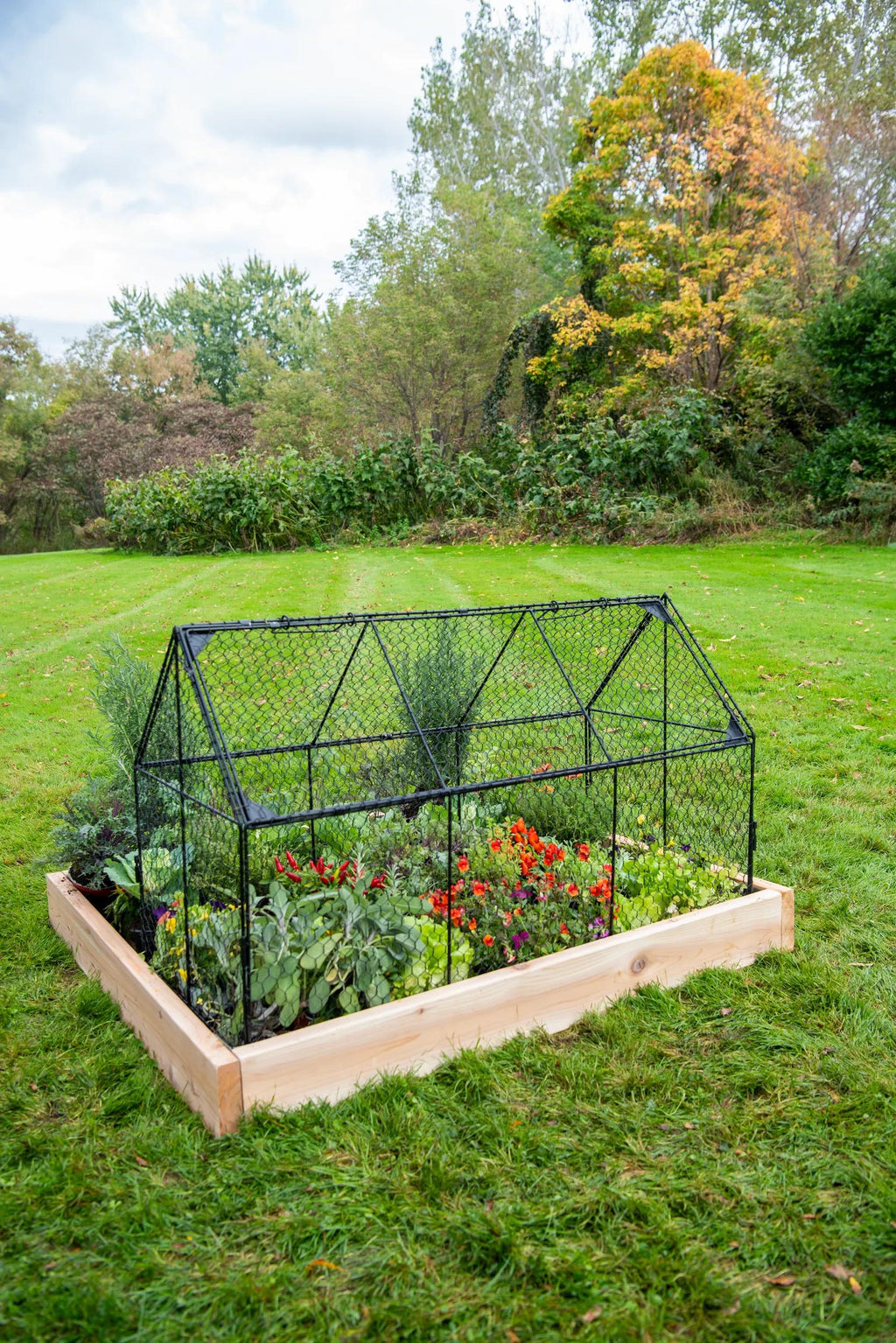 Chicken Wire Crop Coop