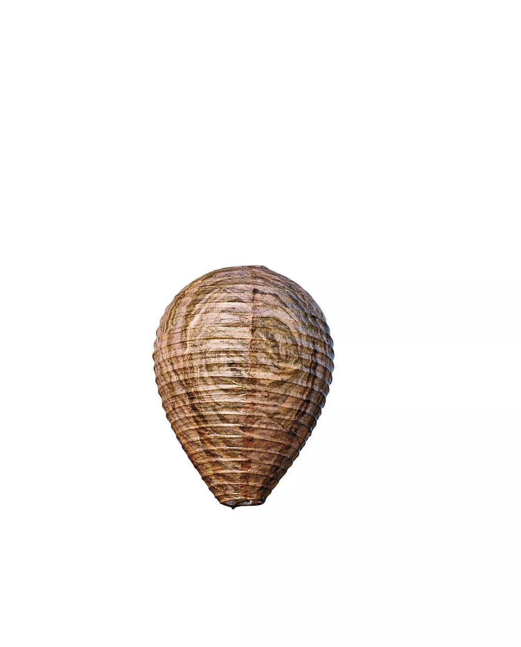 Natural Wasp Deterrent, Set of 2