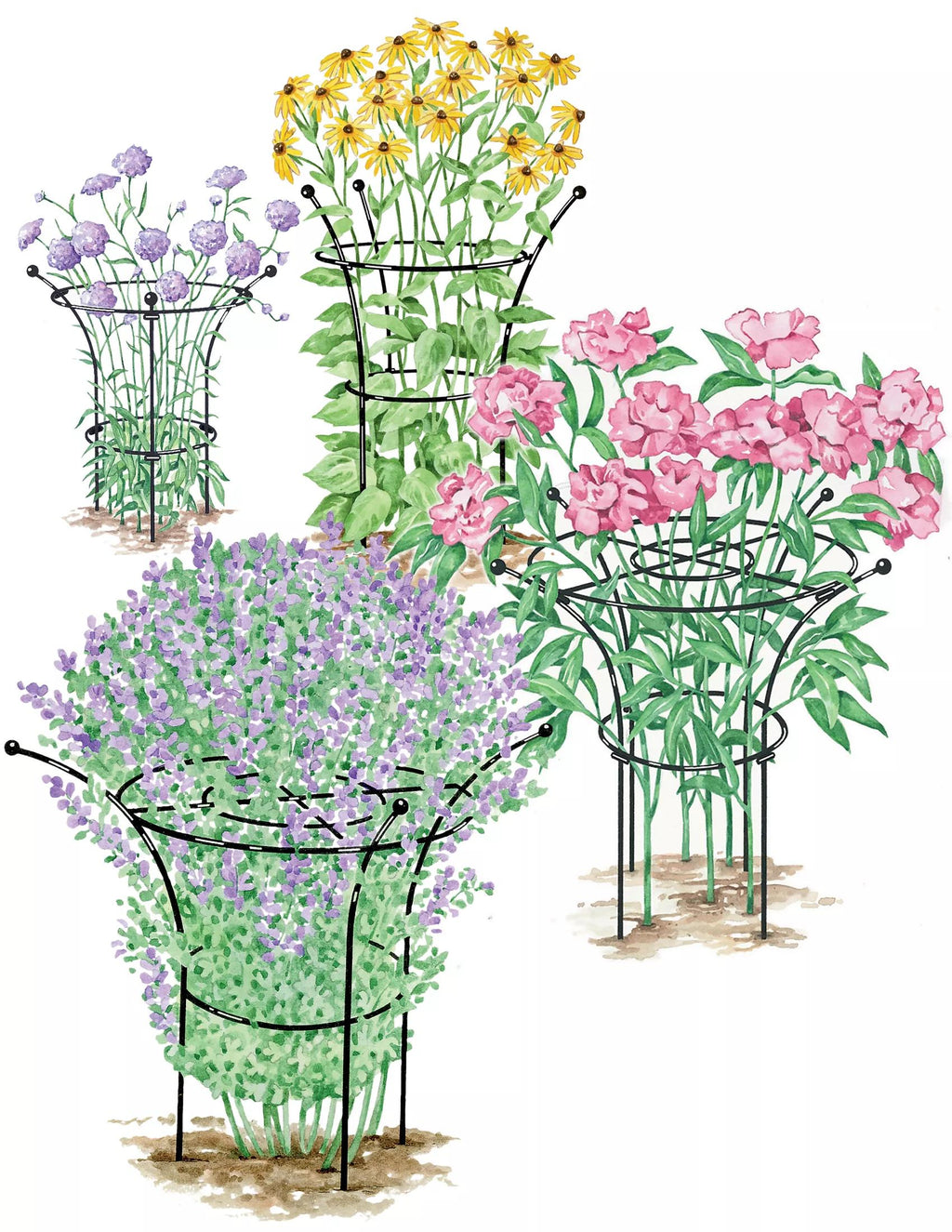 Essex™ Plant Supports