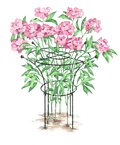 Essex™ Plant Supports