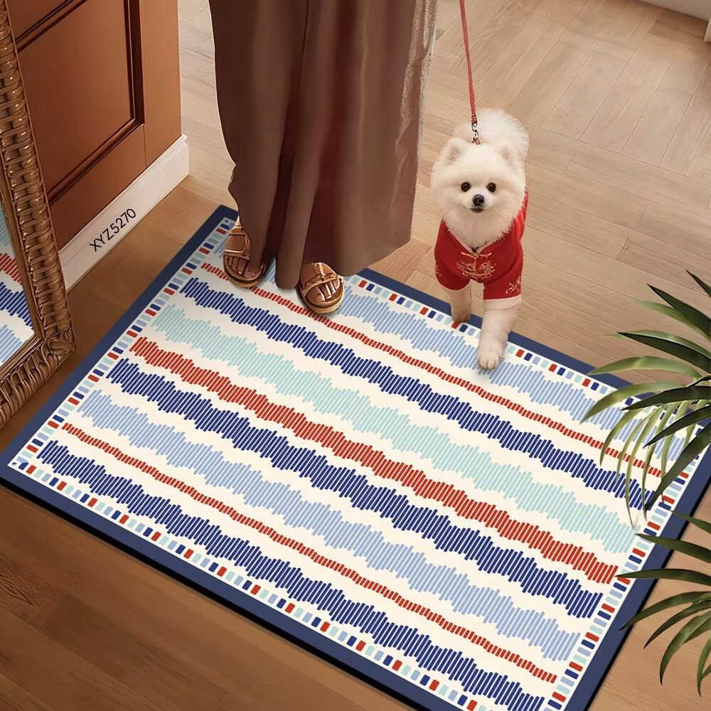 Colorful Patterned Floor Mat 
Maetiva