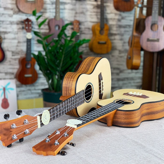 Acoustic Ukulele 
Maetiva