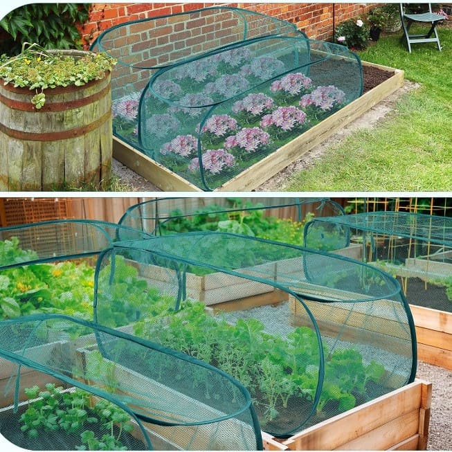 Pop Up Plant Covers | Row Covers for Vegetable Garden