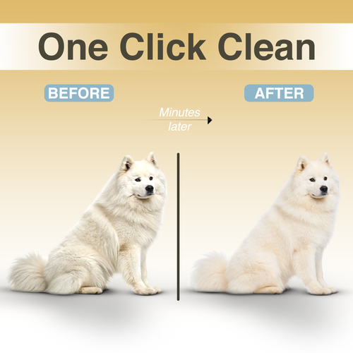 1 SiopsrlHydra Mist Self-Cleaning Brush