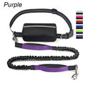 Multifunctional Sports Waist Bag with Hands-Free Dog Leash