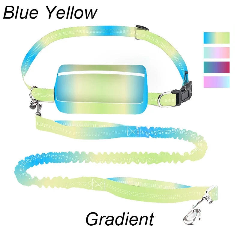 Multifunctional Sports Waist Bag with Hands-Free Dog Leash