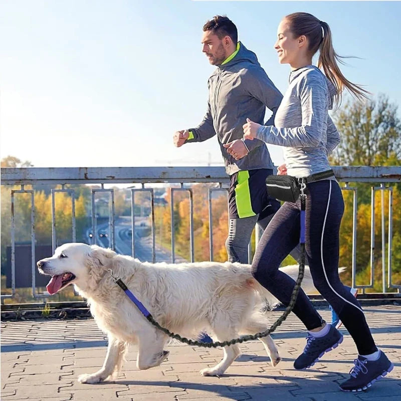 Multifunctional Sports Waist Bag with Hands-Free Dog Leash