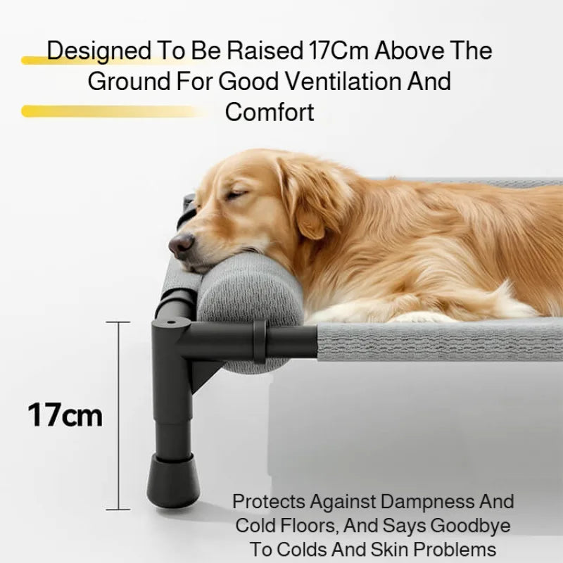 Breathable Cot with Removable Cover for Small to Medium Breeds