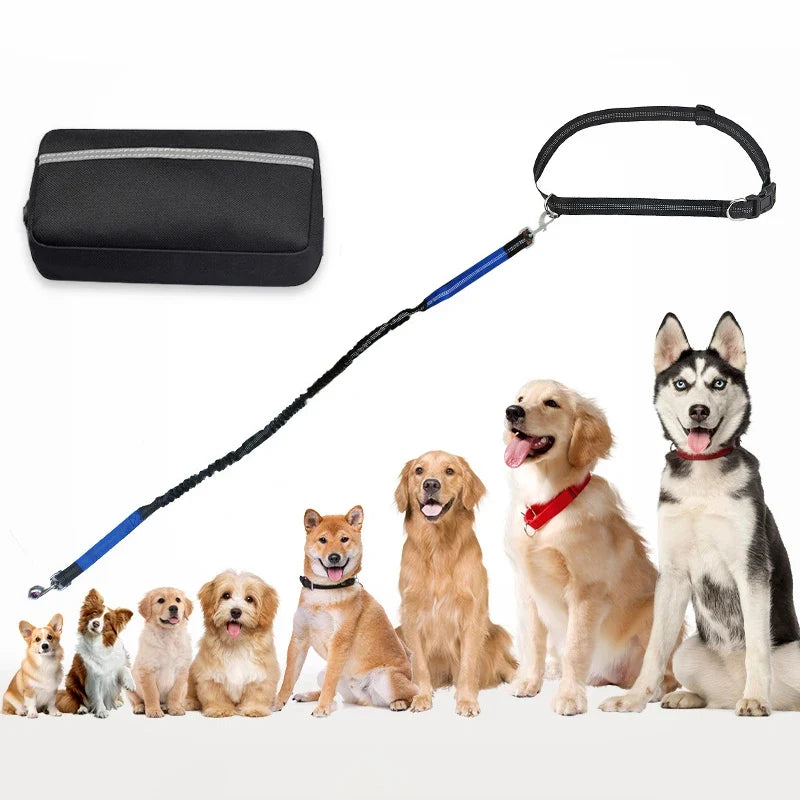 Multifunctional Sports Waist Bag with Hands-Free Dog Leash