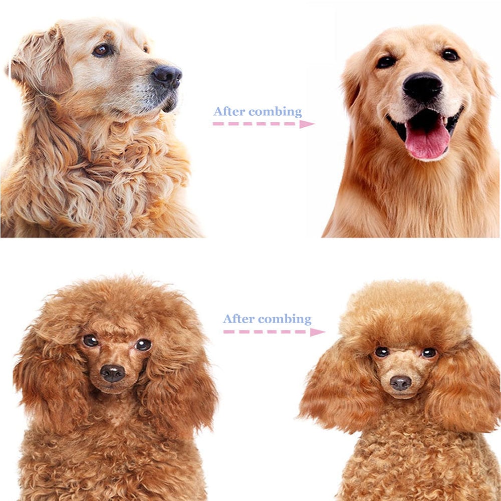 Professional Deshedding Tool for Dogs & Cats – Gentle, Efficient & Fur-Free Home