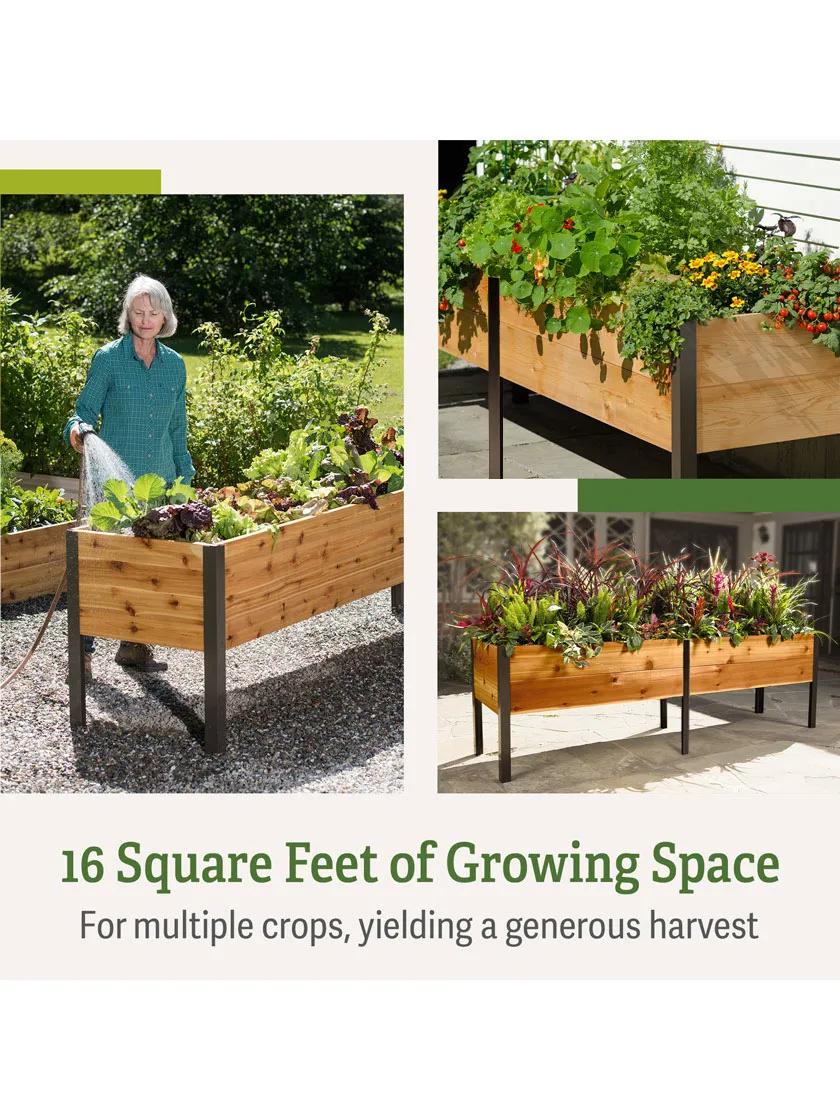 Elevated Cedar Planter Box, 2' x 8'