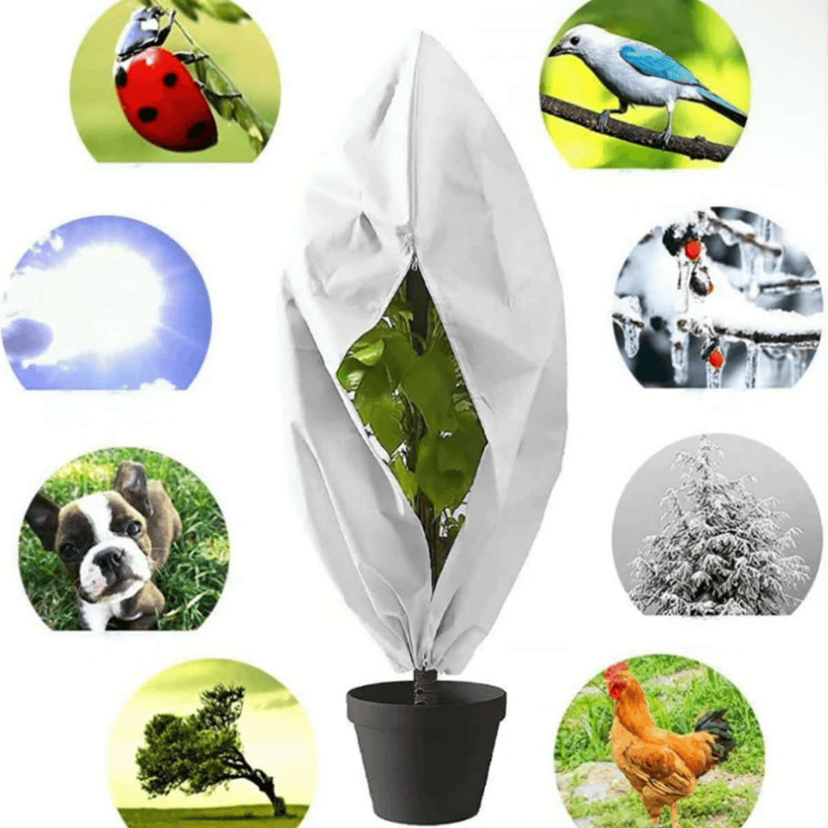 Plant Cover for Winter | Frost Cloth for Plants | Freeze Protection Covers for Plants| Cultiuana