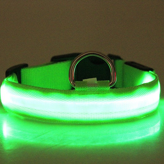Maetiva Glow Collar — USB-Rechargeable LED Dog Collar