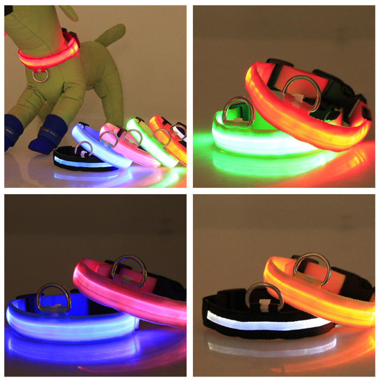 Maetiva Glow Collar — USB-Rechargeable LED Dog Collar