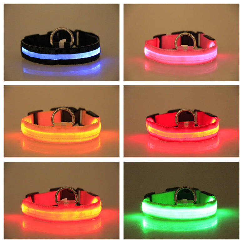 Maetiva Glow Collar — USB-Rechargeable LED Dog Collar