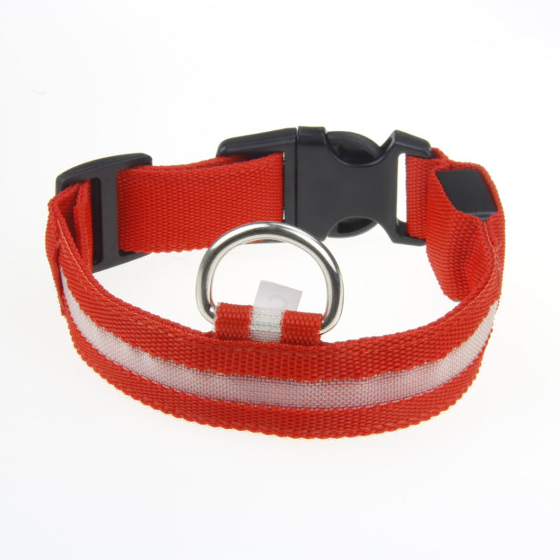 Maetiva Glow Collar — USB-Rechargeable LED Dog Collar