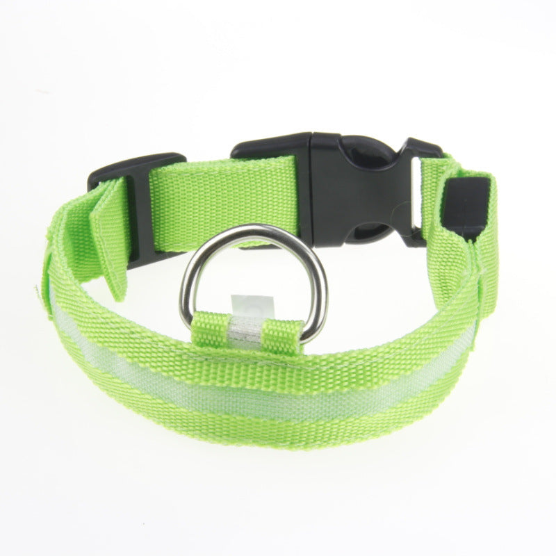 Maetiva Glow Collar — USB-Rechargeable LED Dog Collar