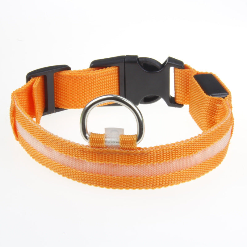 Maetiva Glow Collar — USB-Rechargeable LED Dog Collar