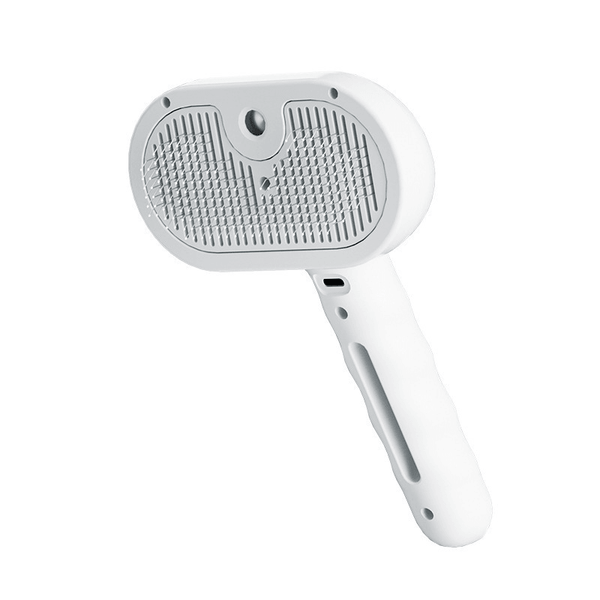1 SiopsrlHydra Mist Self-Cleaning Brush