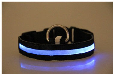 Maetiva Glow Collar — USB-Rechargeable LED Dog Collar