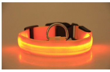 Maetiva Glow Collar — USB-Rechargeable LED Dog Collar