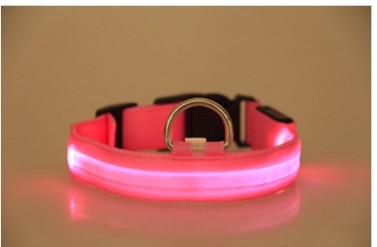 Maetiva Glow Collar — USB-Rechargeable LED Dog Collar
