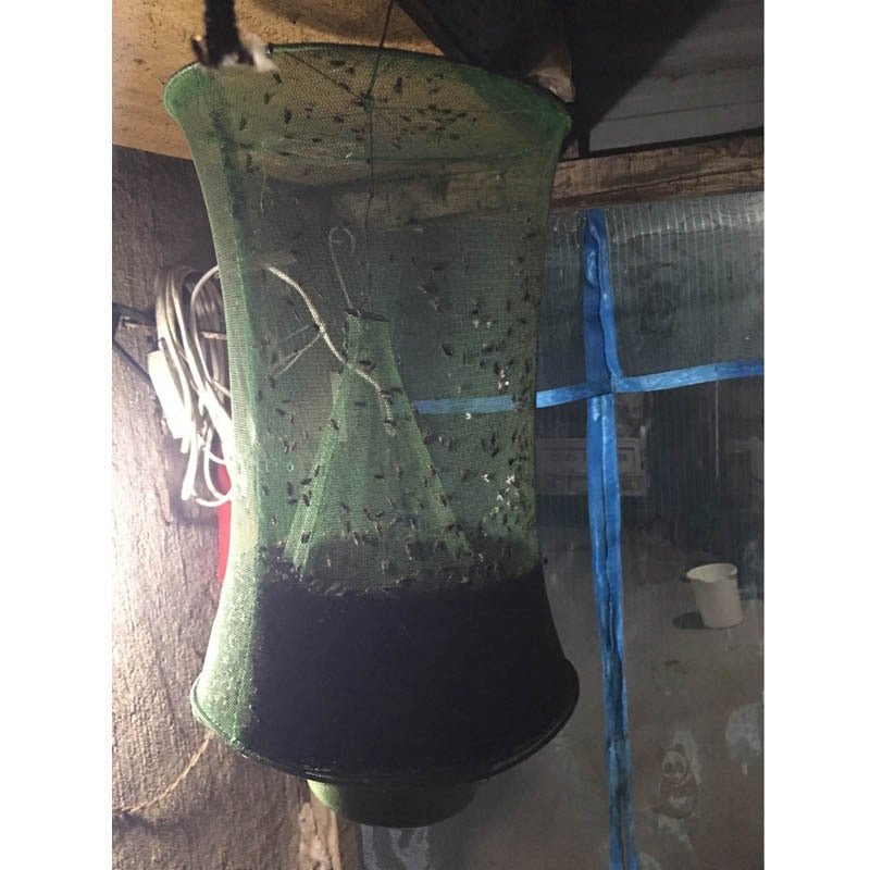 High volume Fly Trap - Efficient Fly Trap for Pest Control