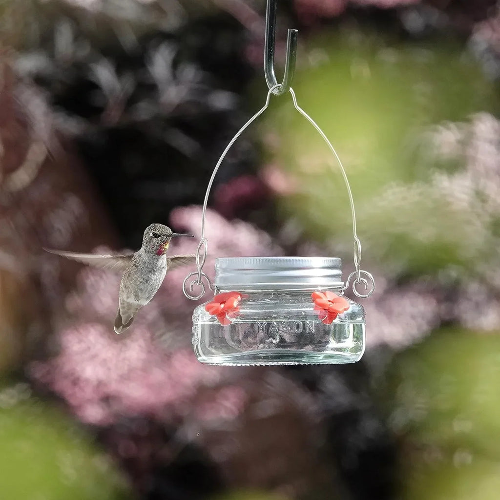 Beautiful Plastic Jar Hummingbird Feeder W/ Four Ports