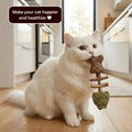 1Catnip & Silvervine Chew-3 PCS