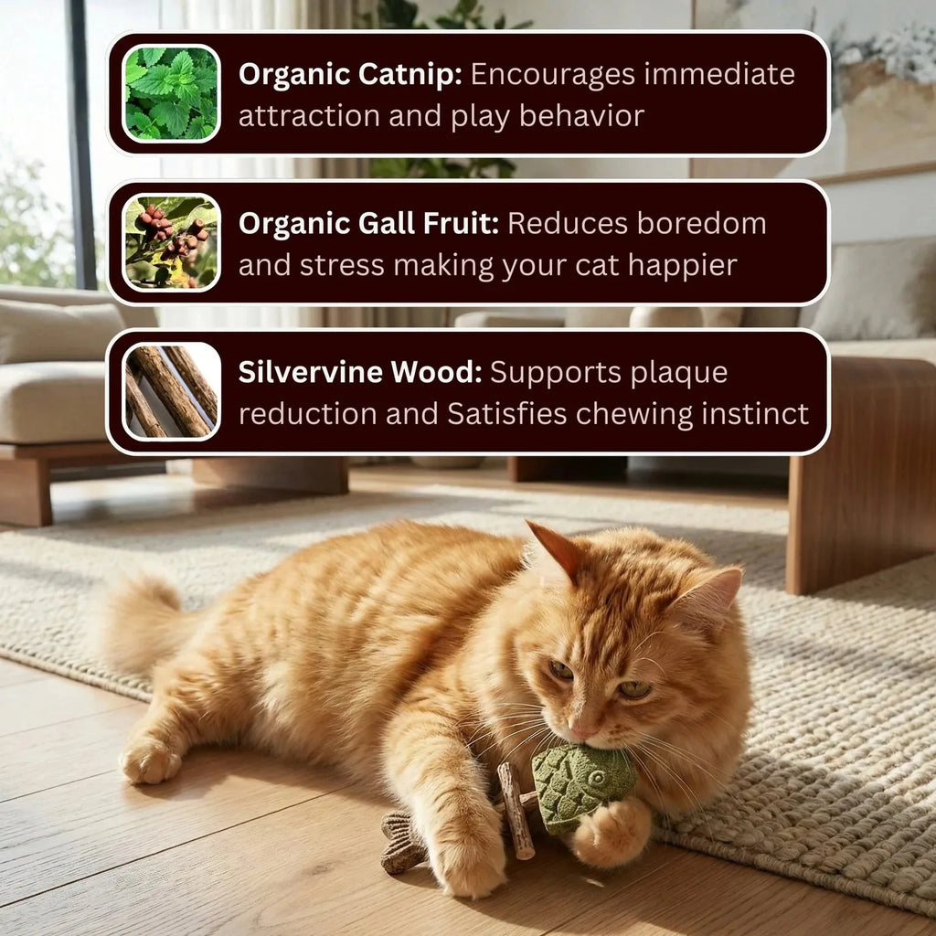 1Catnip & Silvervine Chew-3 PCS