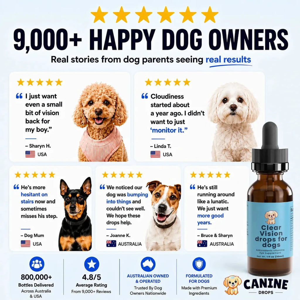 Daily Eye Support Drops for Dogs-2 Park