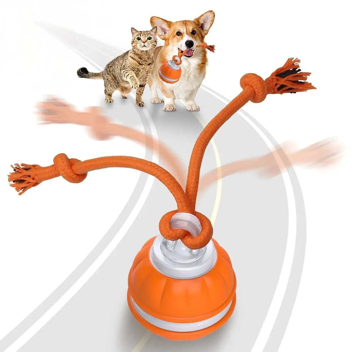 1Rope Runner Interactive Squeaky Rechargeable Small Dog Ball & Rope Toy