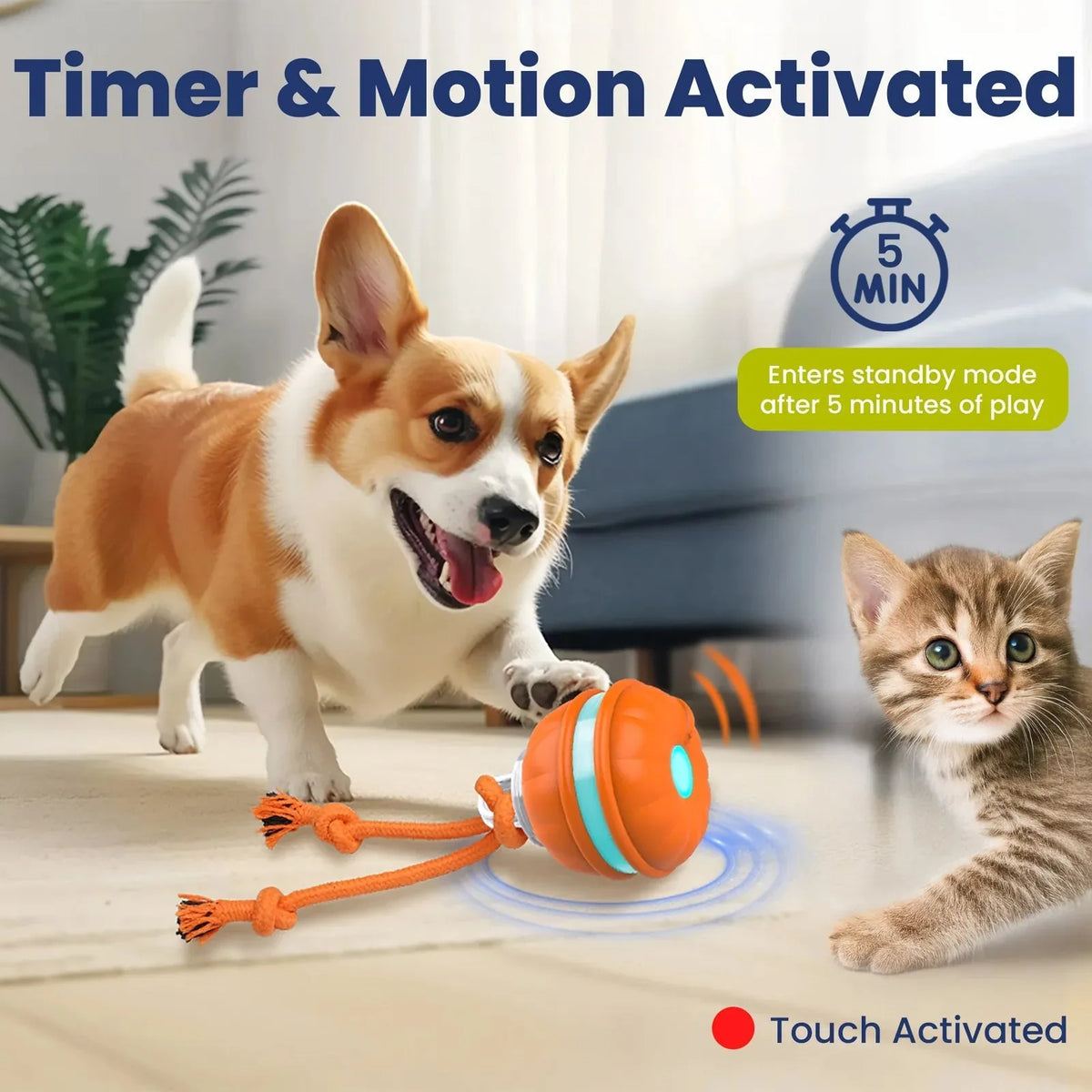 1Rope Runner Interactive Squeaky Rechargeable Small Dog Ball & Rope Toy