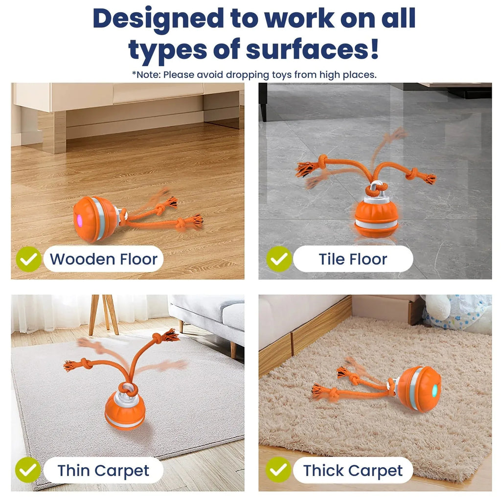 1Rope Runner Interactive Squeaky Rechargeable Small Dog Ball & Rope Toy