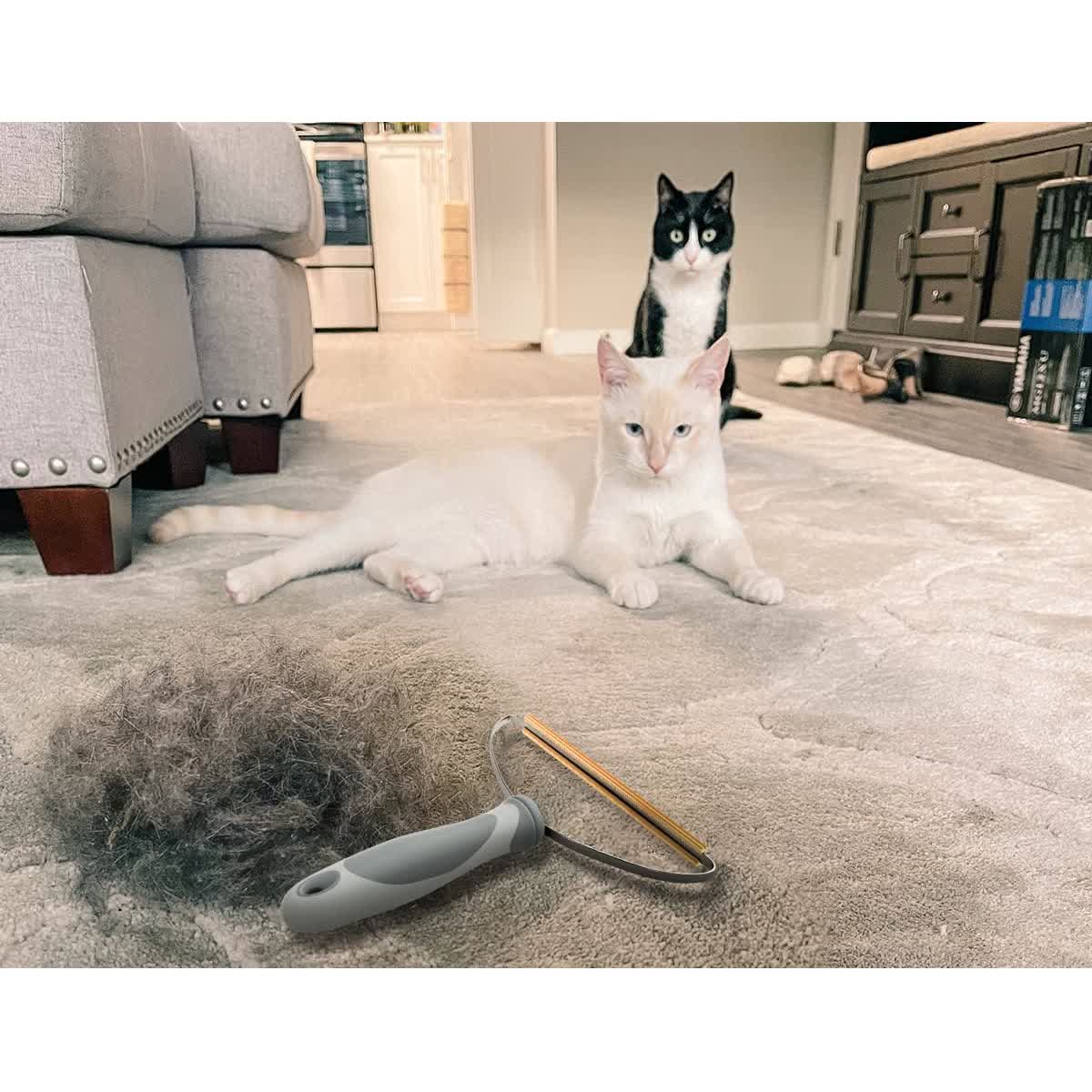 Maetiva Copper Rake — Pet Hair Remover for Carpet, Car Mats & Stairs