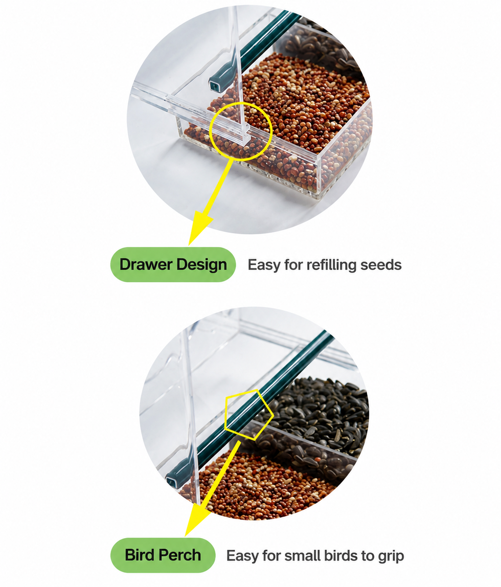 Clear Window Bird Feeder with Removable Seed Tray and Suction Cups